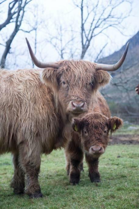 Inverlael Farm Cottages Bagian luar foto
